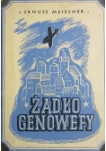 Żądło Genowefy, 1946 r.