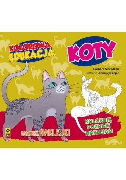 Kolorowa edukacja Koty