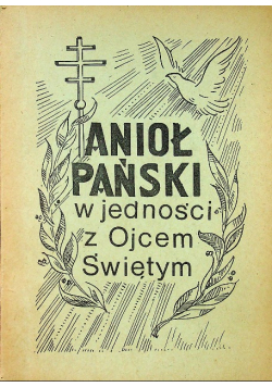Anioł Pański w jedności z Ojcem Świętym
