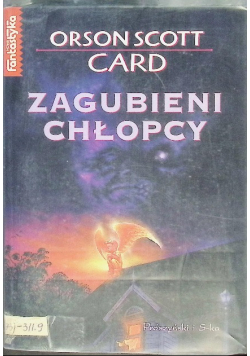 Zagubieni chłopcy