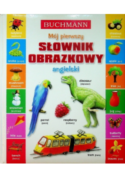 Mój pierwszy słownik obrazkowy angielski
