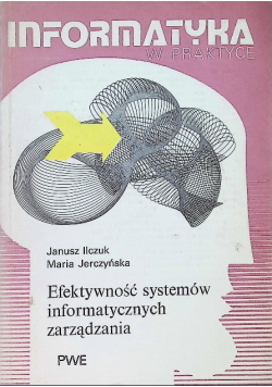 Informatyka w praktyce Efektywność systemów informatycznych zarządzania