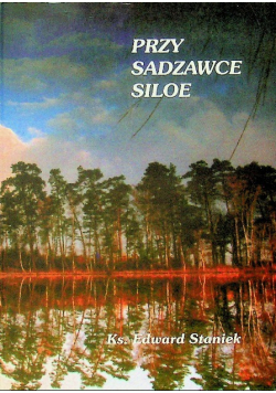 Przy sadzawce Siloe