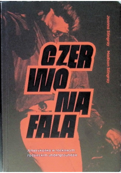 Czerwona fala. Amerykanka w sowieckim rockowym undergroundzie
