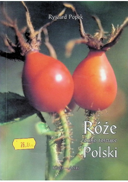 Róże dziko rosnące polski