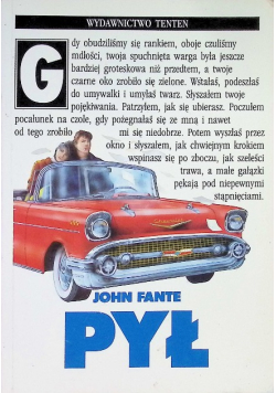 Pył