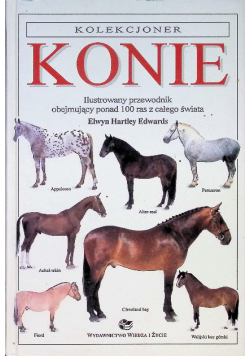Kolekcjoner Konie