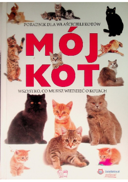 Mój kot