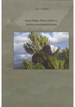 Sosna limba, Pinus cembra L., królowa tatrzańskich lasów