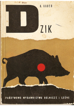 Dzik