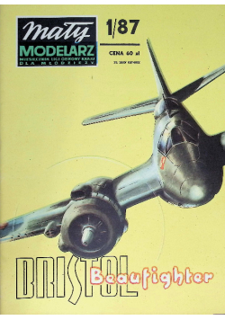 Mały modelarz Nr 1 / 87