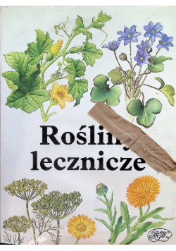 Rośliny lecznicze