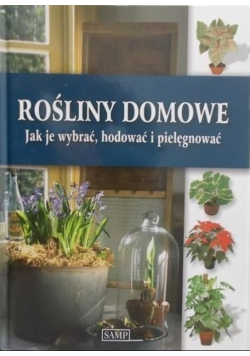 Rośliny domowe Jak je wybrać hodować i pielęgnować