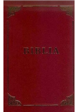 Pismo Święte Starego i Nowego Testamentu Biblia Rodzinna