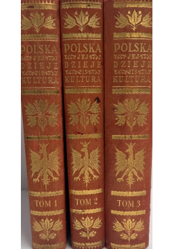 Polska jej dzieje i kultura od czasów najdawniejszych aż do chwili obecnej  Tom 1 do 3 1927 r.