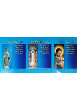 Podręcznik do formacji apostolatu Maryjnego i innych grup parfialnych Rok A do C