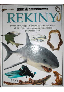 Patrzę podziwiam poznaję Rekiny
