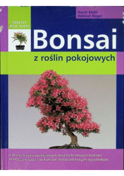 Bonsai z roślin pokojowych