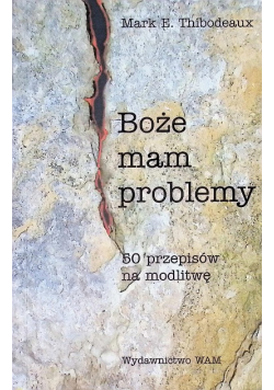 Boże mam problemy