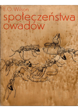 Społeczeństwa owadów