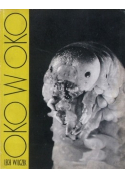 Oko w oko