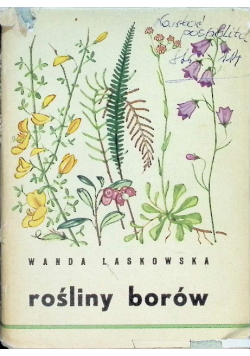 Rośliny borów