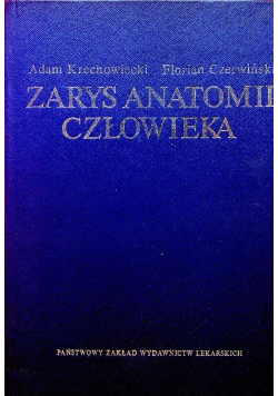 Zarys anatomii człowieka