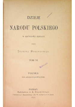 Dzieje narodu polskiego Tom 6 1872 r.