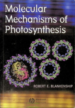 Molecular Mechanisms of Photosynthesis