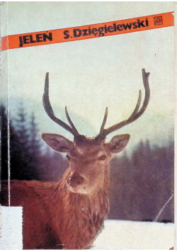 Jeleń