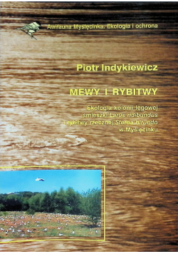 Mewy i rybitwy