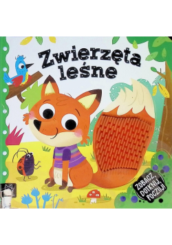 Zobacz dotknij poczuj! Zwierzęta leśne