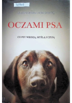 Oczami psa