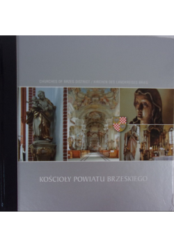 Kościoły powiatu brzeskiego
