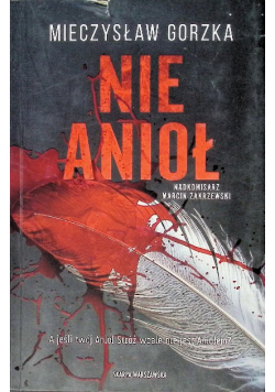 Nie Anioł