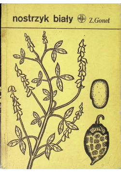Nostrzyk biały