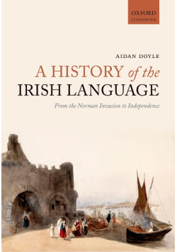 A History of the Irish Language: From the Norman Invasion to Independence