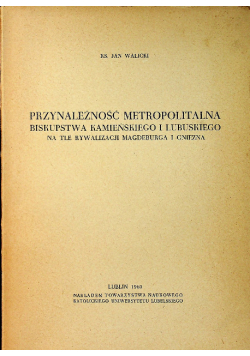 Przynależność metropolitalna biskupstwa kamieńskiego i lubuskiego na tle rywalizacji Magdeburga i Gniezna