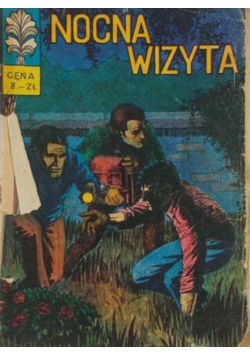Nocna Wizyta