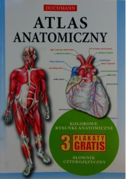 Atlas anatomiczny