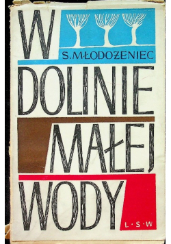 W dolinie małej wody
