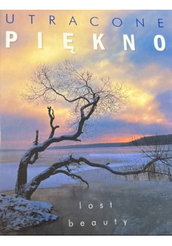 Utracone piękno Lost beauty