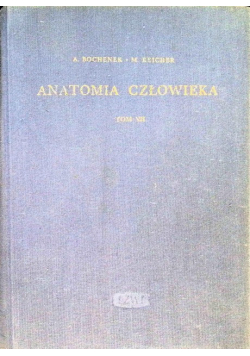 Anatomia człowieka Tom VII