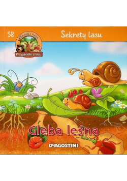 Sekrety lasu Gleba leśna