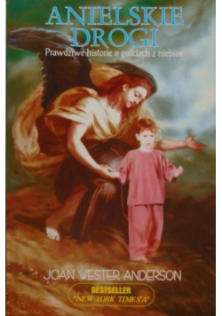 Anielskie drogi prawdziwe historie o gościach z niebos