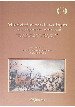 Młodzież w czasie wolnym Między przyjemnością a obowiązkami