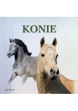 Konie