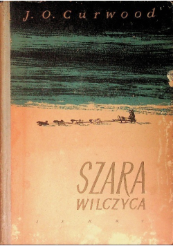 Szara wilczyca