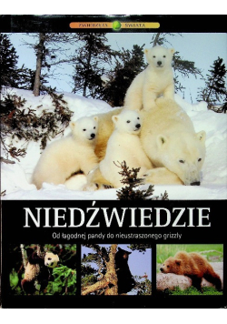 Niedźwiedzie od łagodnej pandy do nieustraszonego grizzly