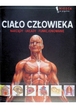 Ciało Człowieka Narządy Układy Funkcjonowanie